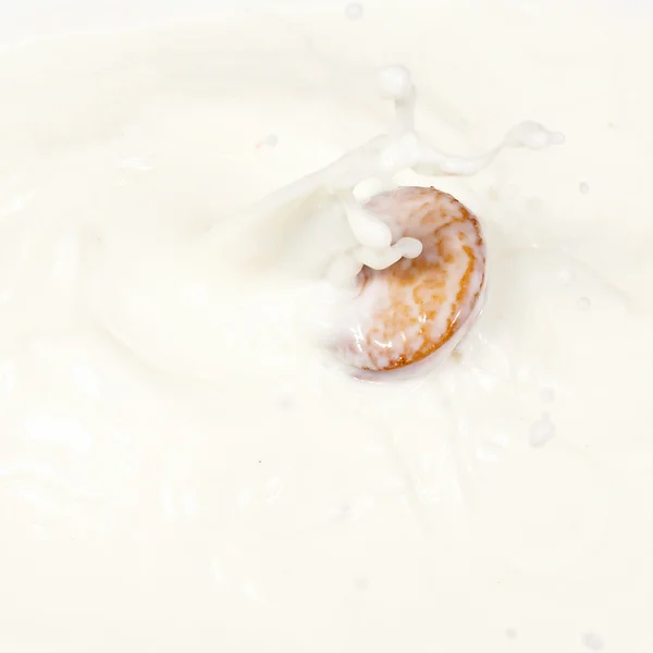 Salpicadura de leche con una galleta — Foto de Stock