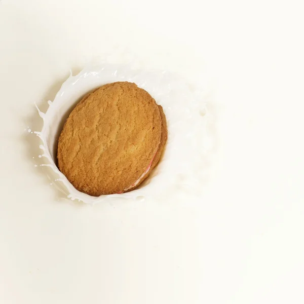 Milk Splash with a biscuit — Stock Photo, Image