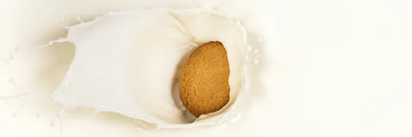 Splash de leite com um biscoito — Fotografia de Stock