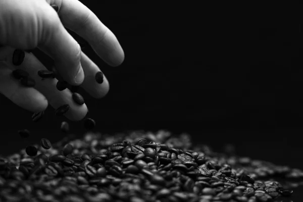 Fekete-fehér kép kéz megragadta szemes kávé. — Stock Fotó