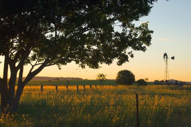Brisbane yel değirmeni