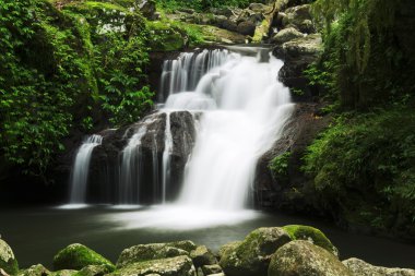 Beautiful Waterfall clipart