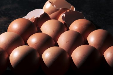 Yumurta tüm ve ezilmiş kabukları demet