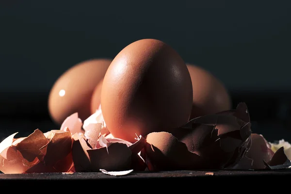 Bando de ovos inteiros e cascas esmagadas — Fotografia de Stock