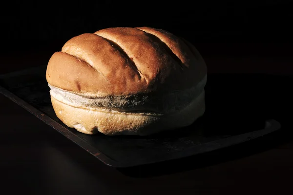 Round loaf of bread — Stock Photo, Image