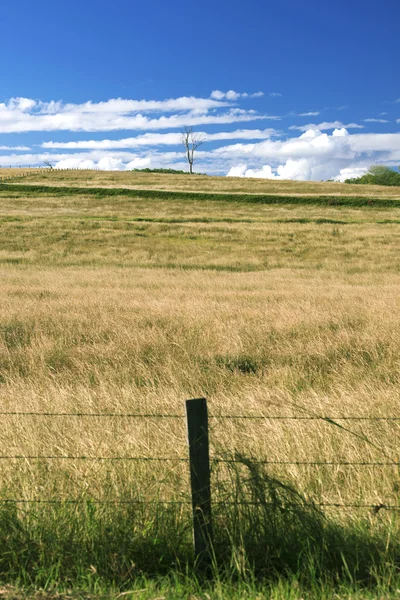 Outback campo agrícola e agrícola . — Fotografia de Stock