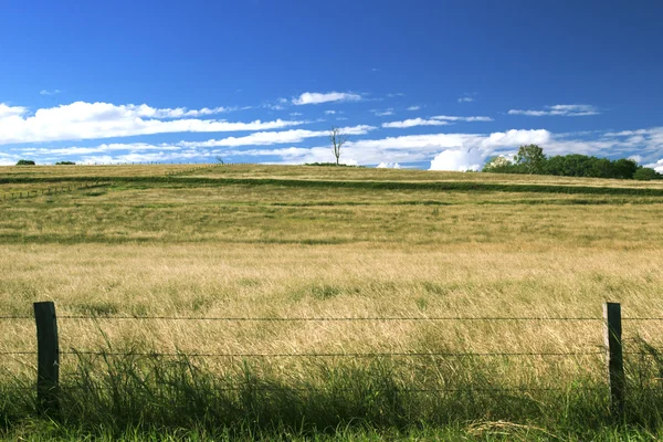 Outback landbouw en landbouw veld. — Stockfoto