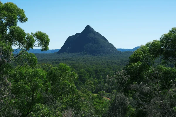 Glass House Mountains Parc national en Australie . — Photo