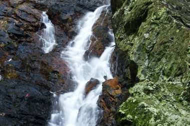 Güzel Kondalilla şelale.