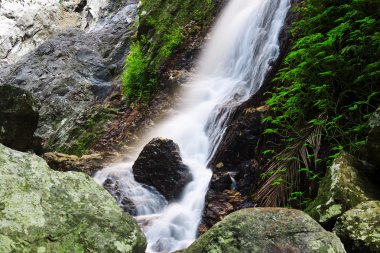 Güzel Kondalilla şelale.