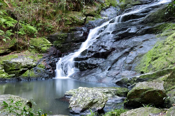 Hermosa cascada de Kondalilla . —  Fotos de Stock