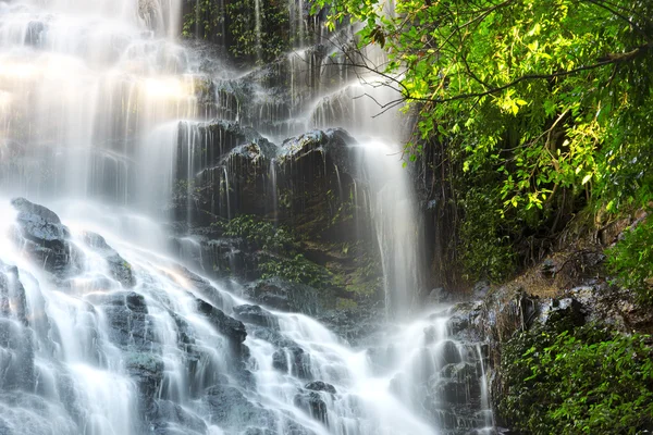 Schöner Kondalilla-Wasserfall. — Stockfoto