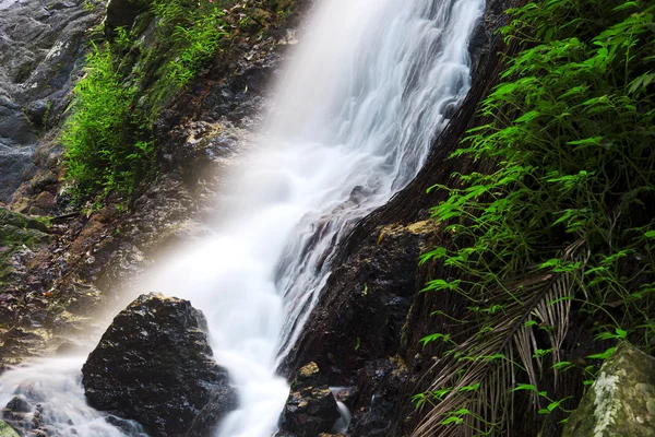 Piękny wodospad Kondalilla. — Zdjęcie stockowe
