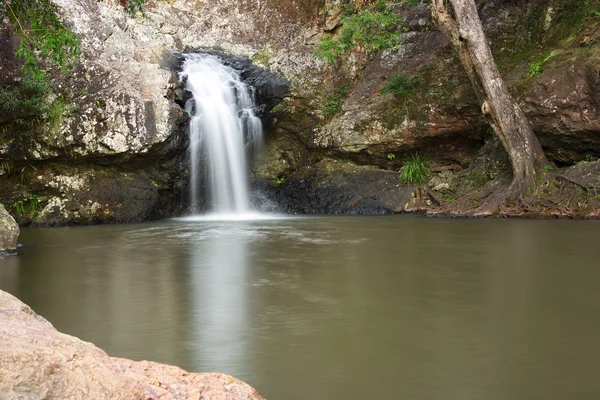 Belle cascade de Kondalilla . — Photo