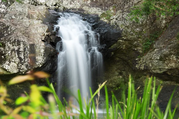 Schöner Kondalilla-Wasserfall. — Stockfoto