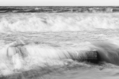 Öğleden sonra Snapper buzlu deniz köpüğü.