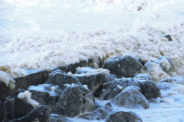 Öğleden sonra Snapper buzlu deniz köpüğü. — Stok fotoğraf
