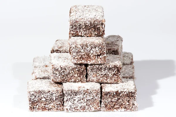 Grupa Lamingtons — Zdjęcie stockowe