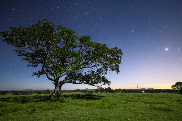 Estrellas por la noche — Foto de Stock