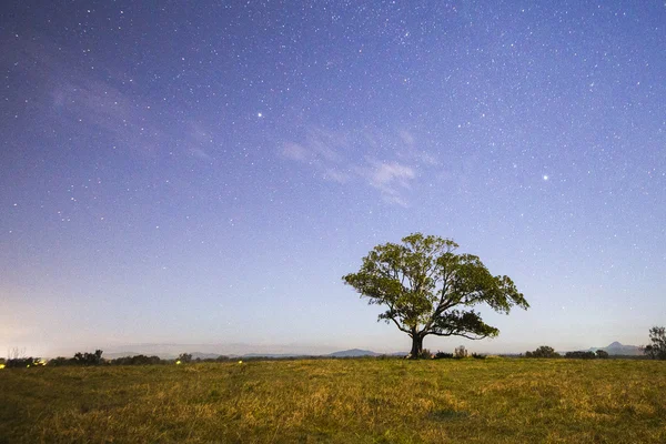 Estrellas por la noche — Foto de Stock