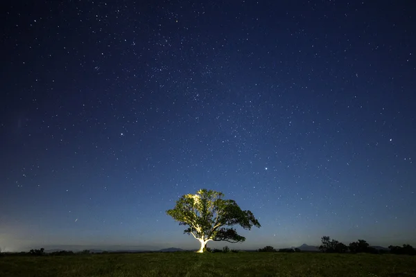 Stjärnorna på natten — Stockfoto