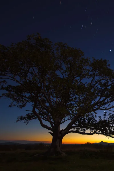 Stars at night — Stock Photo, Image