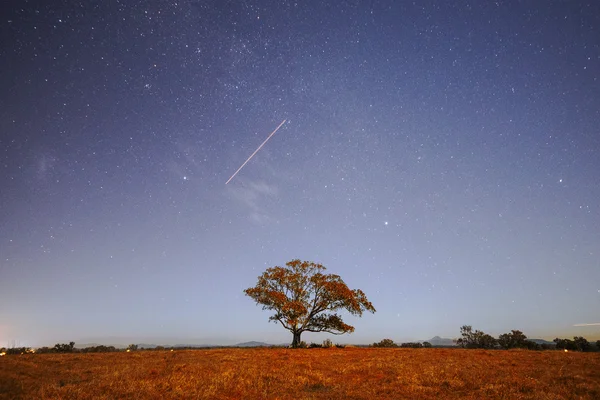 夜の星 — ストック写真