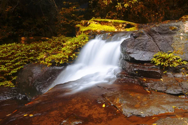 Schöner Wasserfall — Stockfoto