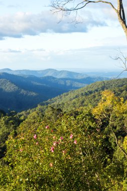 Gold Coast Hinterlands görünümünü dağ