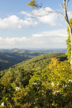 Gold Coast Hinterlands görünümünü dağ