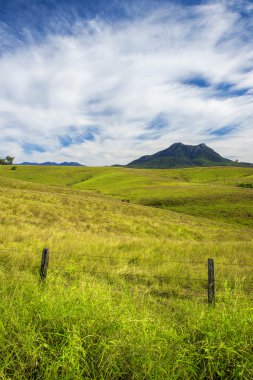 Taşra dağ ve doğal manzaralı kenar, Queensland alanında.