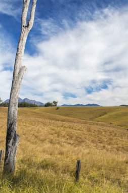 Taşra dağ ve doğal manzaralı kenar, Queensland alanında.