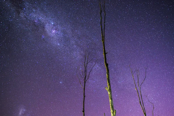 Stjärnor över sjön Moogerah — Stockfoto