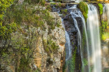Queen Mary Falls