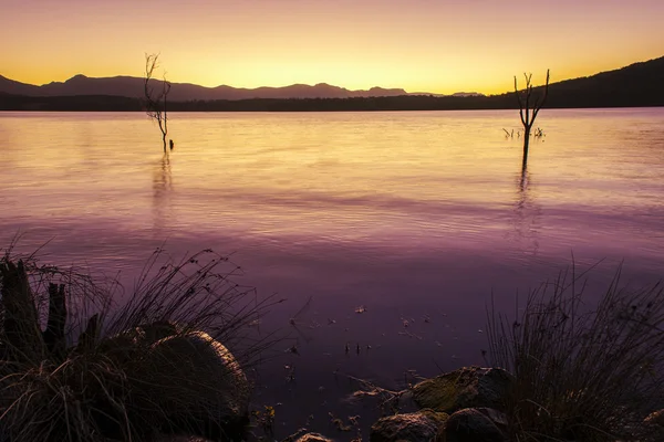 Taşra sinirli işadamı