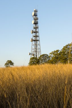 Radyo kulesi Queensland