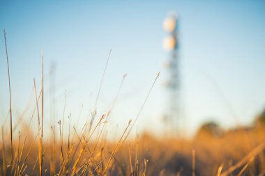 Radyo kulesi Queensland