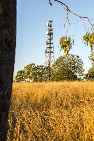 Радиовышка Квинсленда — стоковое фото