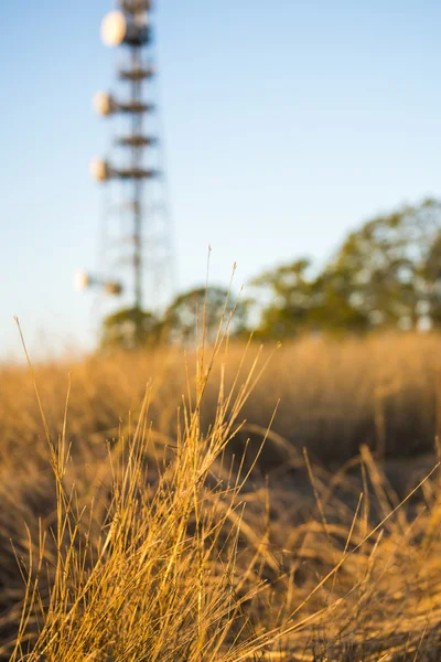 Torre de rádio em Queensland — Fotografia de Stock