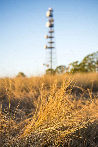 Tour de Radio dans le Queensland — Photo