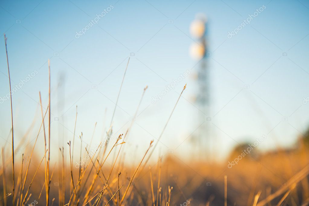 Radio Tower in Queensland