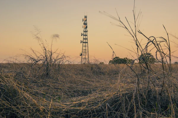 Radyo kulesi Queensland