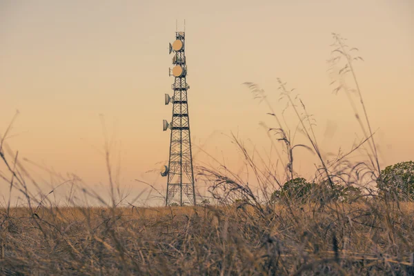 Torre radio nel Queensland — Foto Stock