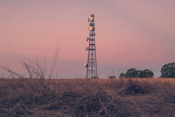 퀸즐랜드에 있는 라디오 타워 — 스톡 사진