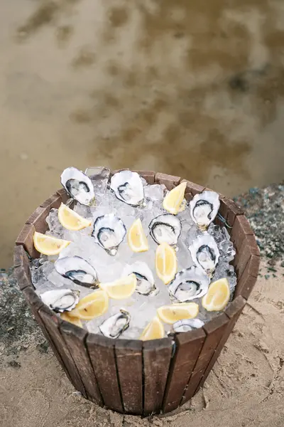 Oysters on ice — Stock Photo, Image