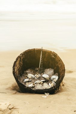 buz üzerinde istiridye