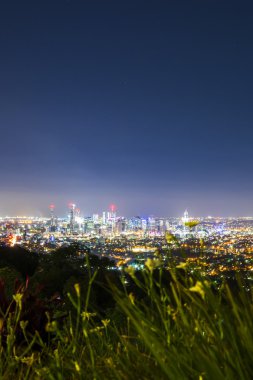 Brisbane kenti Mount Coot bu