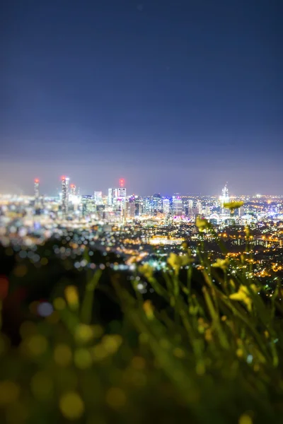 Widok miasta Brisbane z góra Łyska tha — Zdjęcie stockowe