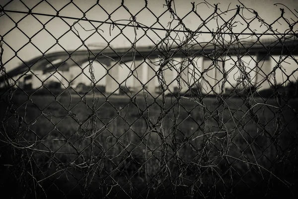 Gateway Bridge Motorway — Stock Photo, Image