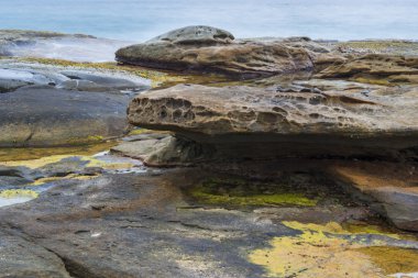 Kayalar ve nokta Cartwright, dalgalar